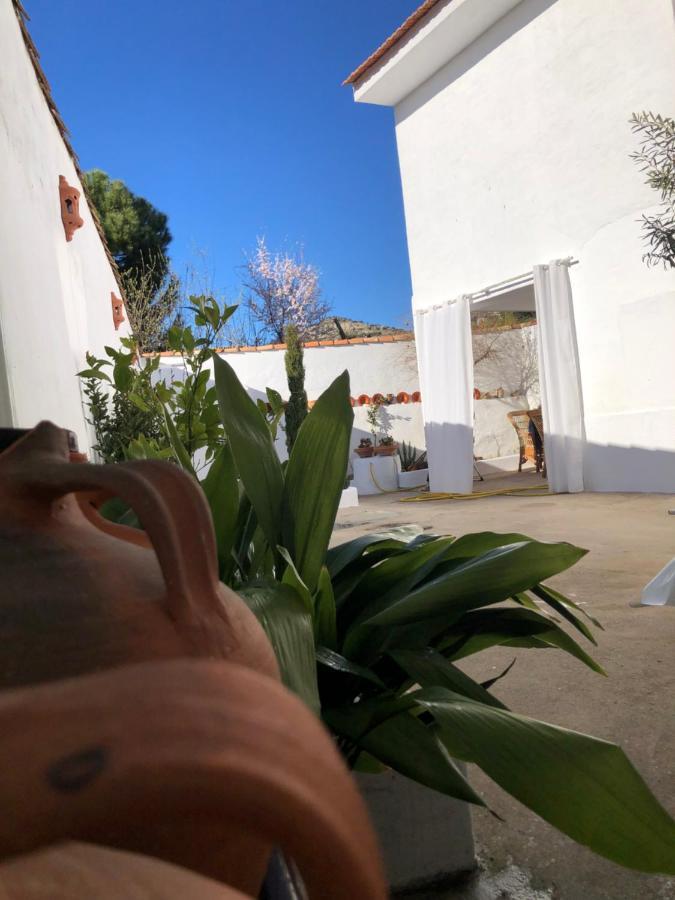 Villa El Granado à Piedrabuena Extérieur photo